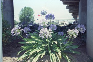 0042 Santiago - letiště.jpg